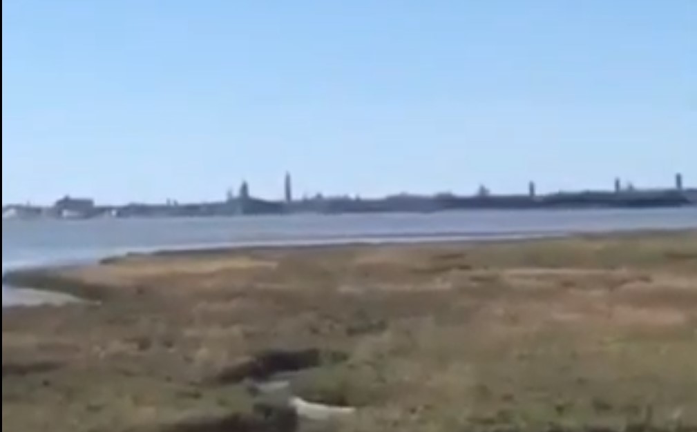 https://guide-in-venice.online/wp-content/uploads/2020/08/Виникнення.jpg